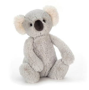 Bashful Koala Medium